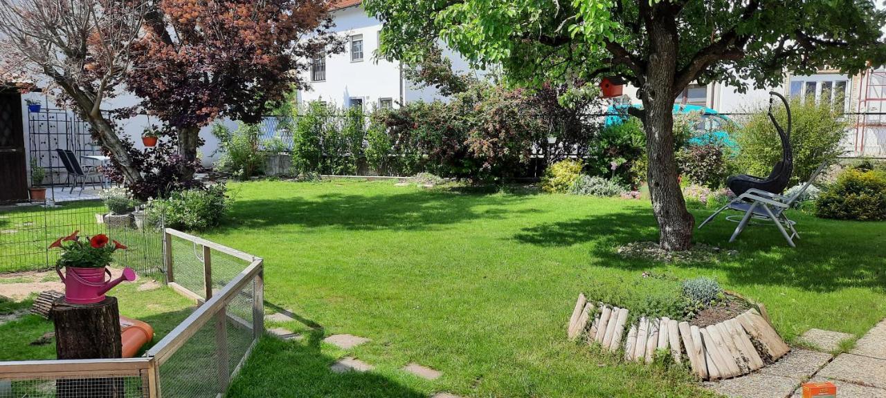Ferienhaus Lina Нойзидл ам Зее Екстериор снимка